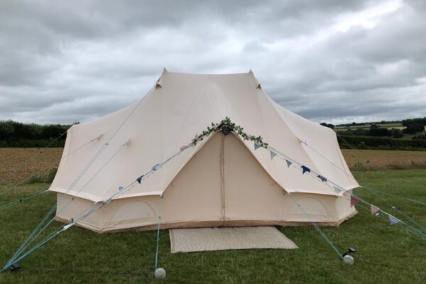 Our Emperor Wedding Bell